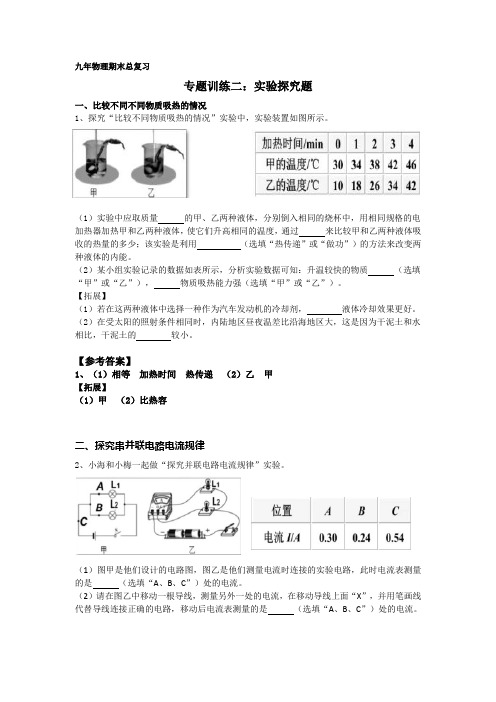 九年物理期末总复习专题训练：实验探究题附答案