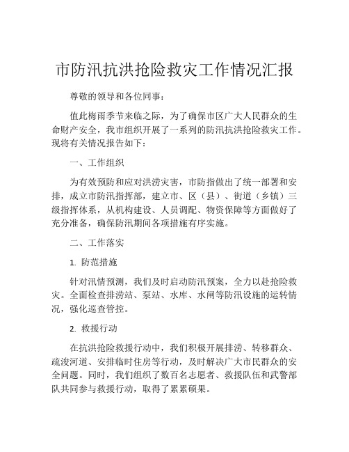 市防汛抗洪抢险救灾工作情况汇报