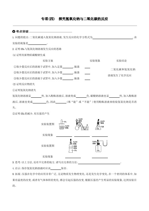 2020中考化学复习方案专项(04)探究氢氧化钠与二氧化碳的反应试题