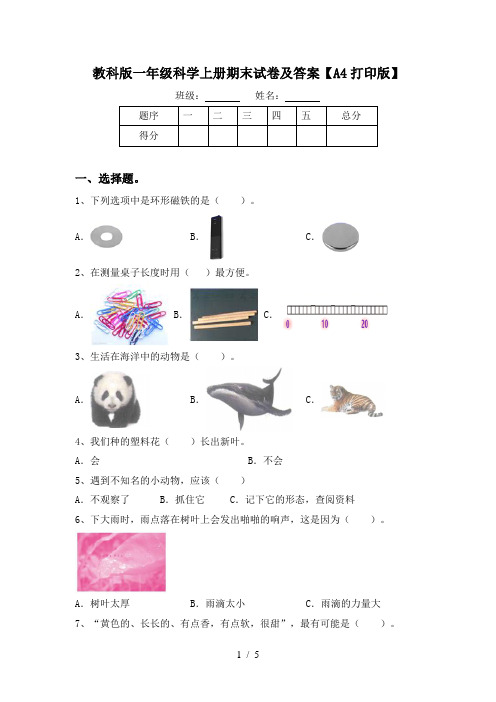 教科版一年级科学上册期末试卷及答案【A4打印版】