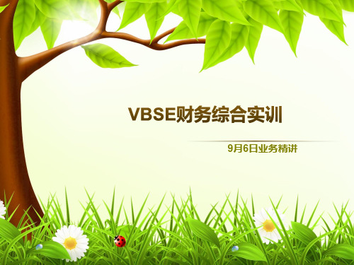 《VBSE财务综合实训教程》教学课件 ppt 4第一天业务精讲)