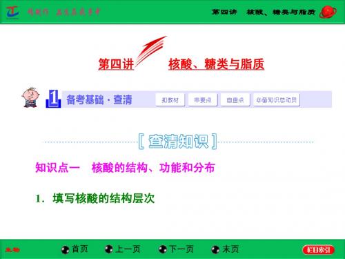 第四讲  核酸、糖类与脂质