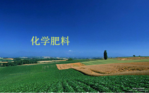 北京课改版九下化学 12.3化学肥料 课件 (共24张PPT)