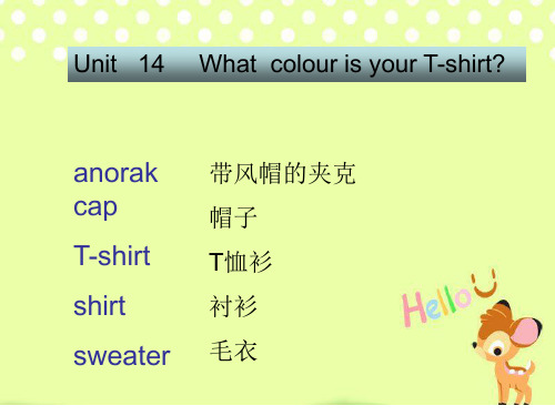 新概念英语青少版入门A Unit 14 What colour is your T-shirt课件