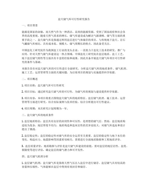 盐穴储气库可行性研究报告