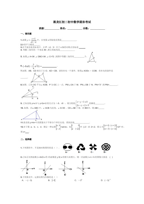 黑龙江初二初中数学期末考试带答案解析
