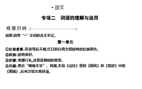 2019年秋人教部编版九年级上册语文课件：专项二 词语的理解与运用(共13张PPT)