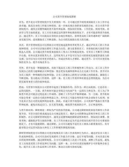 公司晋升管理制度降职