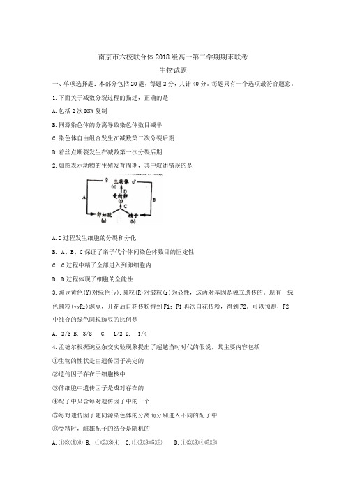 【生物】南京市六校联合体2018-2019学年高一下学期期末联考试题 生物含答案