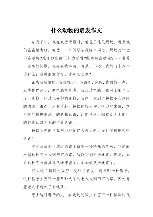 什么动物的启发作文