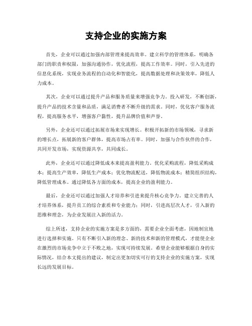 支持企业的实施方案