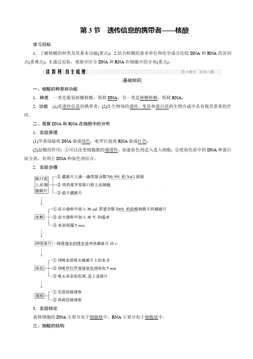 高中生物人教版高一必修一学案:2.3_遗传信息的携带者—核酸
