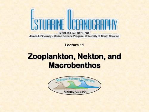 河口生态学Lecture_11Zooplankton, Nekton, and Macrobenthos