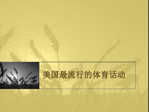 美国最流行的体育话动