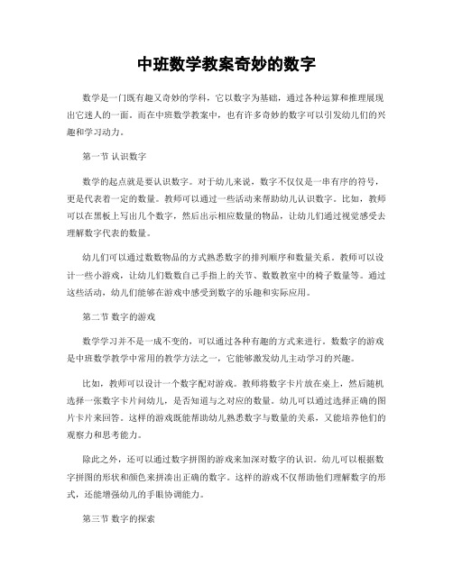 中班数学教案奇妙的数字