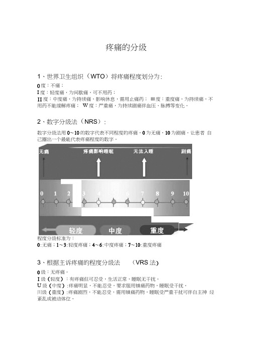 疼痛评定表