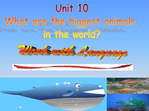 Unit10 What are the biggest animals in the world