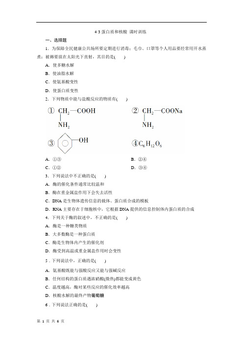 4-3蛋白质和核酸 课时训练(人教版选修5)