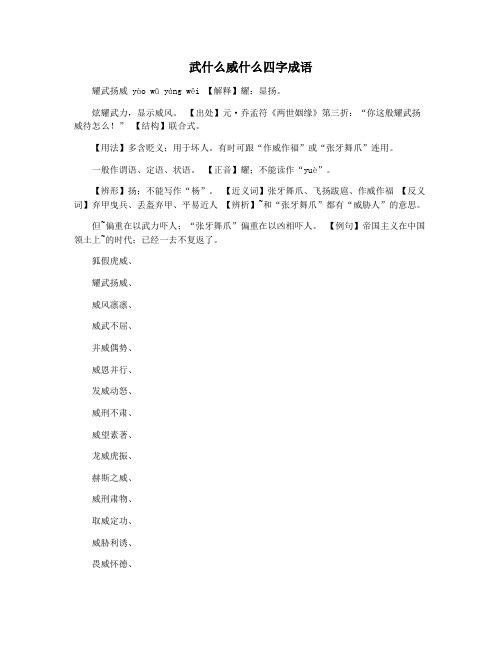 武什么威什么四字成语