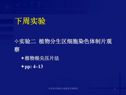 E1植物细胞有丝分裂与减数分裂观察-PPT课件