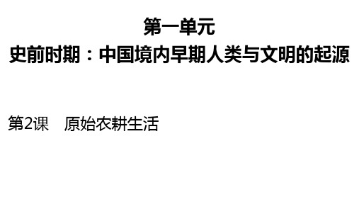 第2课 原始农耕生活 课件-2020-2021学年部编版历史与社会七年级上册
