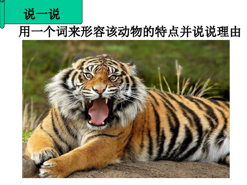 苏教版七年级语文下第四单元15课《松鼠》上课课件共24张PPT(共24张PPT)