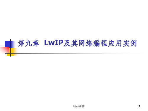 LwIP及其网络编程应用实例