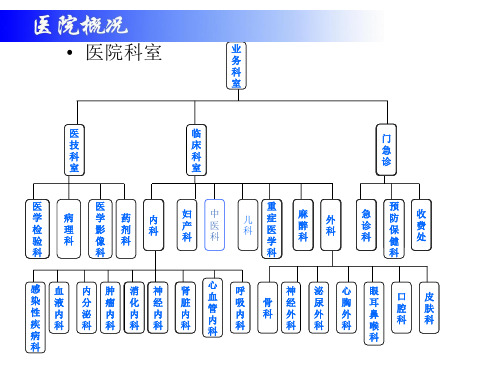 各类组织架构图ppt课件