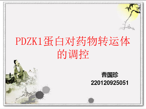 PDZK1蛋白对药物转运体的调控