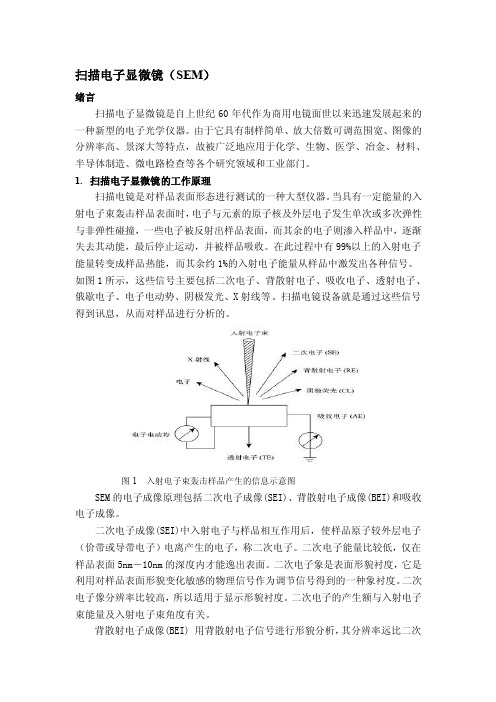 [论文]扫描电子显微镜