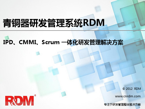 青铜器研发管理软件rdmipd+cmmi+scrum一体化研发管理解决方案v--资料