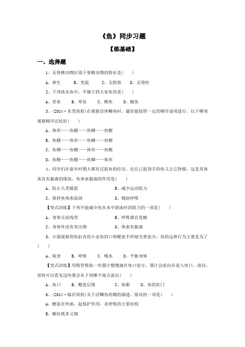 《鱼》同步练习2