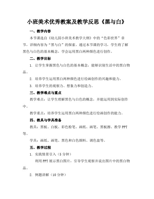 小班美术优秀教案及教学反思《黑与白》