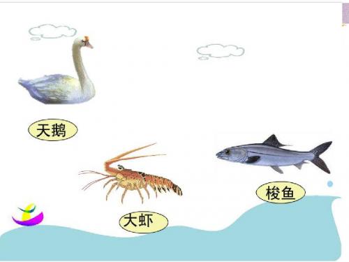 天鹅、大虾和梭鱼ppt