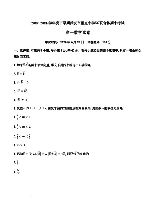 湖北省武汉市5G联合体2023-2024学年高一下学期期中考试数学试题