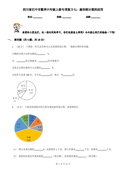 四川省巴中市数学六年级上册专项复习七：扇形统计图的应用