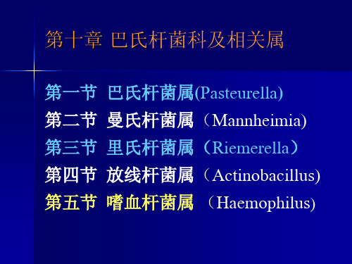 10-巴氏杆菌科及相关属(2011)