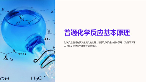 普通化学反应基本原理