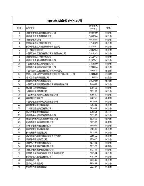 2010年湖南省企业100强