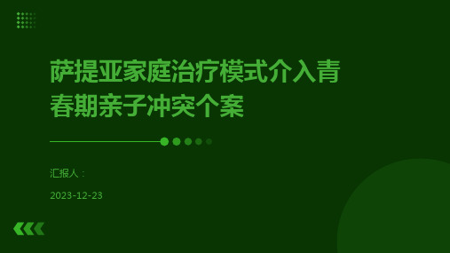 萨提亚家庭治疗模式介入青春期亲子冲突个案