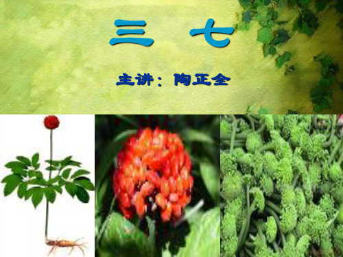 五加科——三七(1)