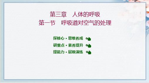 2022年人教版七年级下册生物第四单元第三章第一节 呼吸道对空气的处理