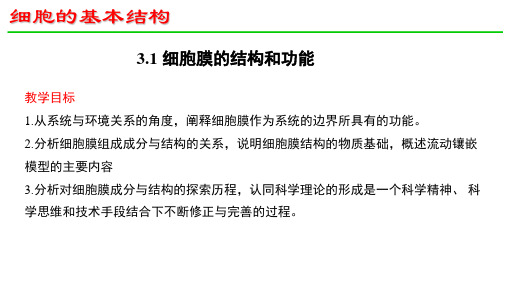 细胞膜的结构和功能  课件  2022——2023学年高二上学期生物人教版选择性必修1