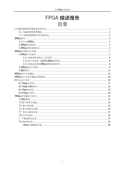 FPGA综述报告