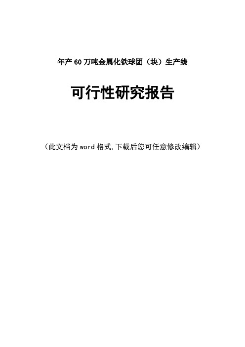 年产60万吨金属化铁球团(块)生产线可行性研究报告