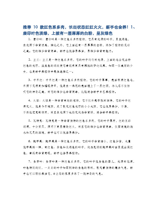 推荐10款红色系多肉,长出状态红红火火,新手也会养!1、唐印叶色淡绿,上披有一层厚厚的白粉,呈灰绿色