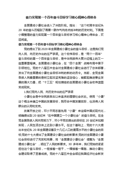 奋力实现第一个百年奋斗目标学习核心精神心得体会