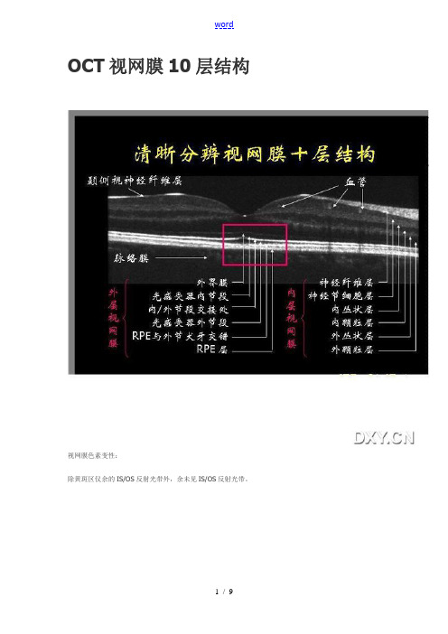 OCT视网膜10层结构