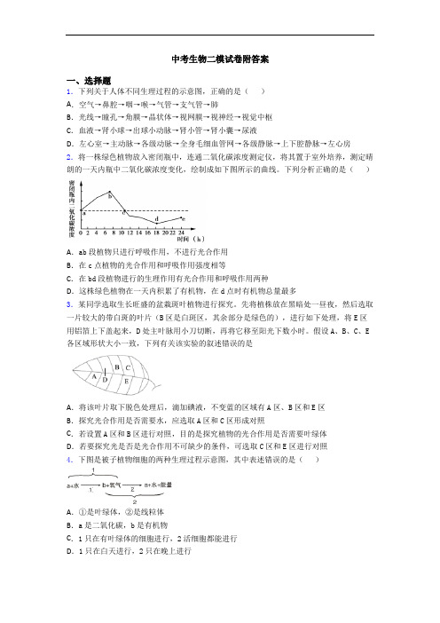 中考生物二模试卷附答案