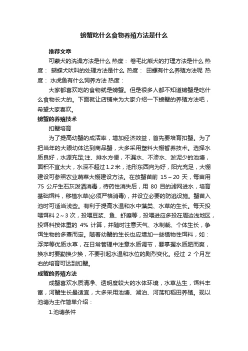 螃蟹吃什么食物养殖方法是什么